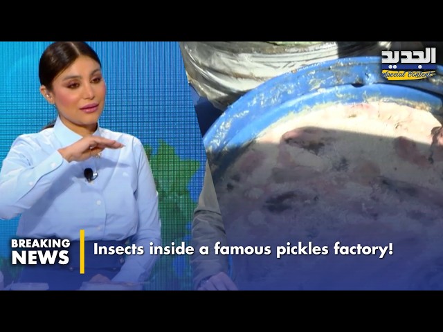 فئران و جراذين داخل معمل للحلويات-Rats inside factories?!