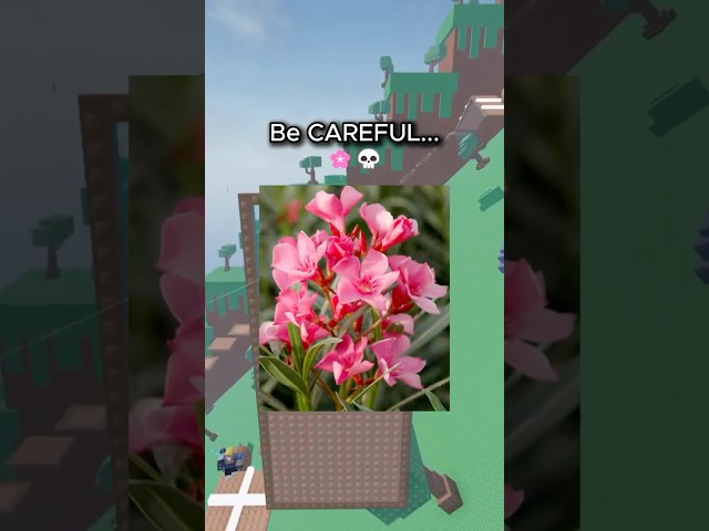 3 Dangerous Things Which Look HARMLESS 😭🙏 #roblox #robloxrant #rblx #relatable