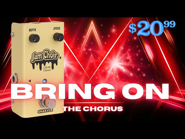 The BEST Chorus We've Tried Under $25