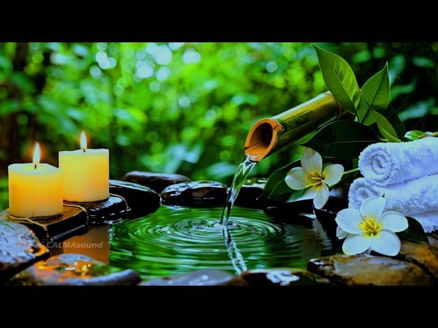 Bamboo Water Fountain Healing 24/7 🌿 Relaxing Music and Nature Sounds for Sleep, Meditation, Stud