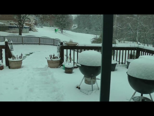 snow 7 years ago in St. Louis on 11/15/18 and today's high was over 75 on 11/15/25