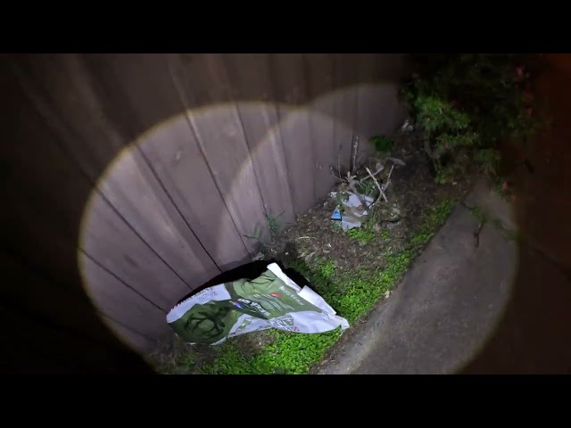 Boring Dallas 2026-04-07: Walking