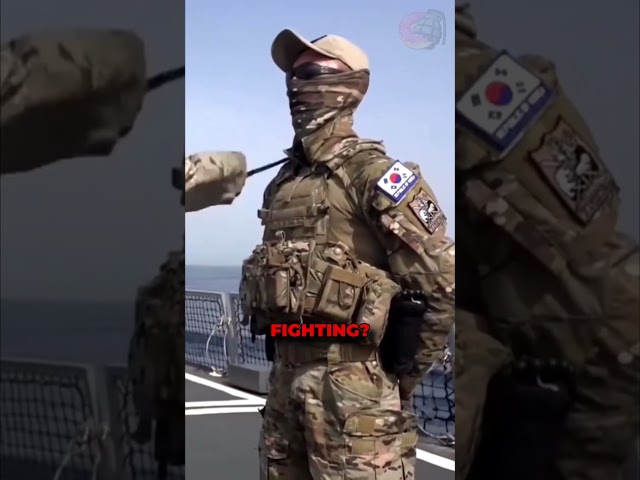 South Korea Special Forces - Navy Seals Knife Combat Training #specialforces #southkorea #navyseals