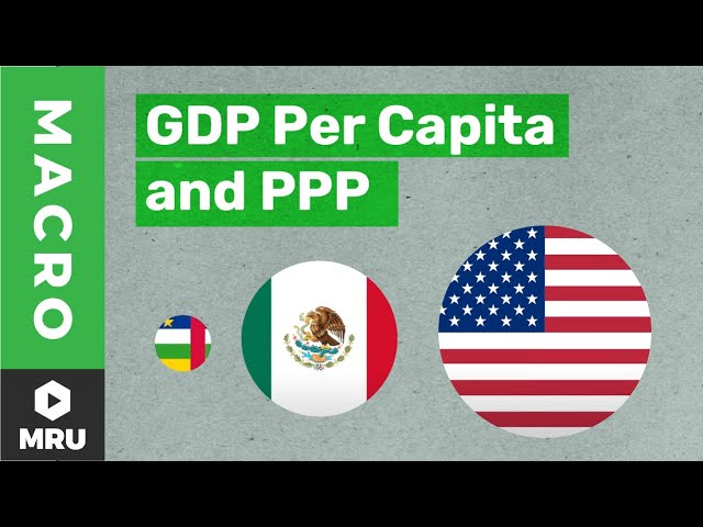 Basic Facts of Wealth