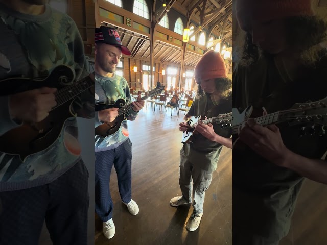 Playing Jessamyn's Reel with Chris Thile #mandolin #bluegrass #christhile