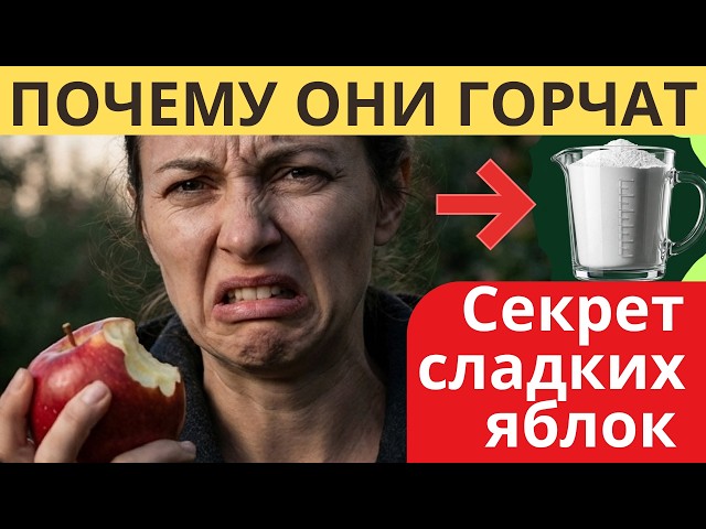 TITLE:What to Sprinkle Under Your Apple Tree for a Sweet Harvest? Secret Revealed! 🍎