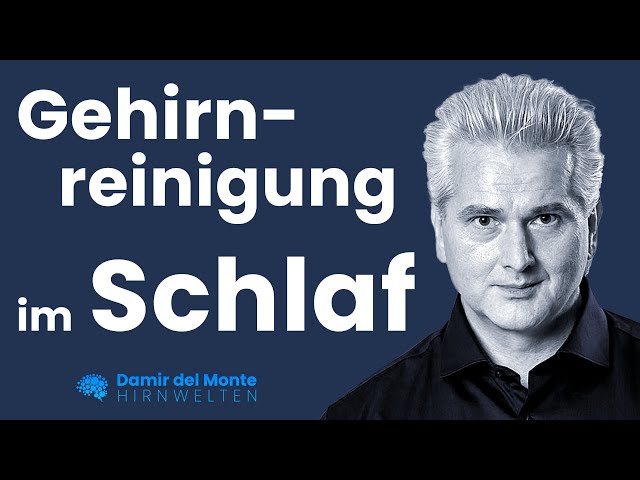 Gehirnreinigung im Schlaf | Glymphatisches System | Dr. Dr. Damir del Monte | Hirnwelten