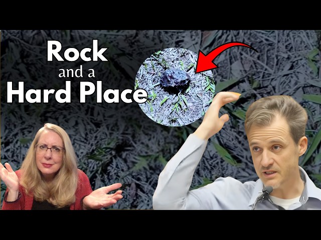 Will This Rock Decide a Murder Case? (Gerhardt Konig, Hawaiian Doctor)