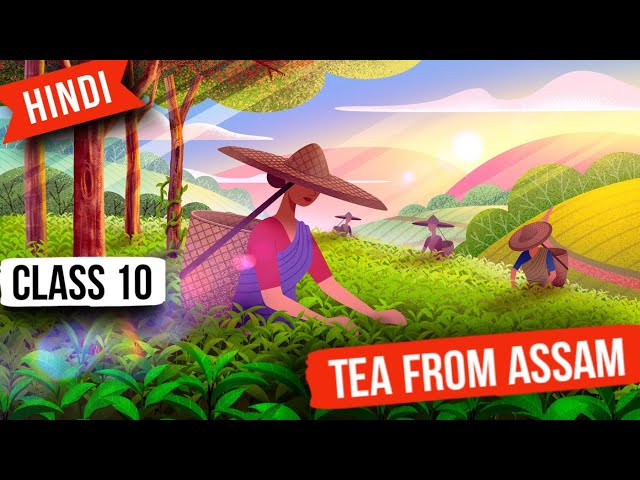 Tea from Assam class 10 - Ep03 - Glimpses Of India Class 10 | Tea From Assam Class 10 In Hindi