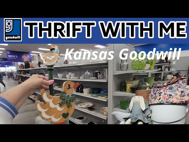 That's Where We Have The Best Luck! Goodwill Thrift With Me! Vintage Home Decor + Cute Chicks!