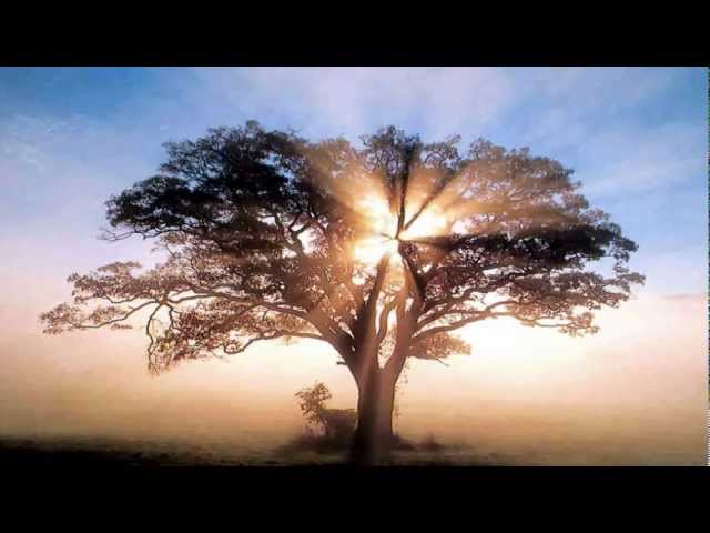 English | Quran Chapter Muminoon | Recitation by Qari Abdul Basit