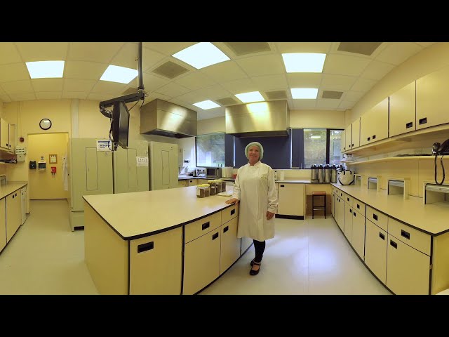 Mondelēz International - Chocolate Taster 360 Experience