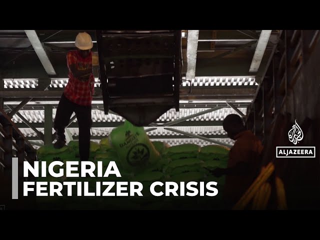Iran war food security impact: Shortages inflating price of fertilizers in Nigeria