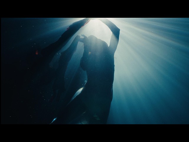 LumoCore | You Bring Me Back