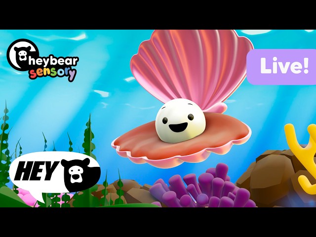 Hey Bear Sensory - Under The Sea - Live Stream!