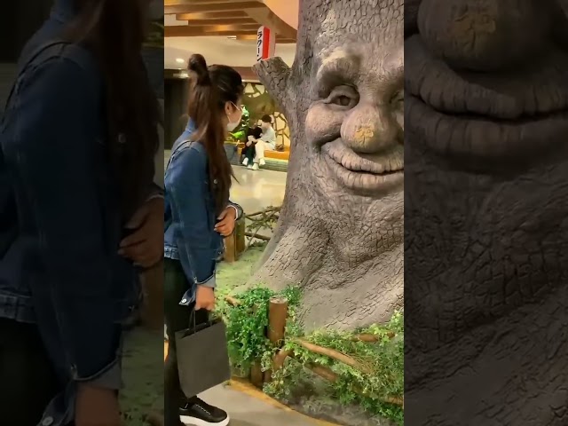 Most Beautiful Places On Earth 🤩 @AnyMindMusic Library  #travel #adventure