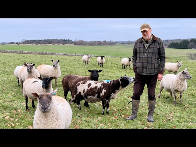 Government's U-Turn on IHT for Farmers, the Farming Profitability Review & how I became a farmer