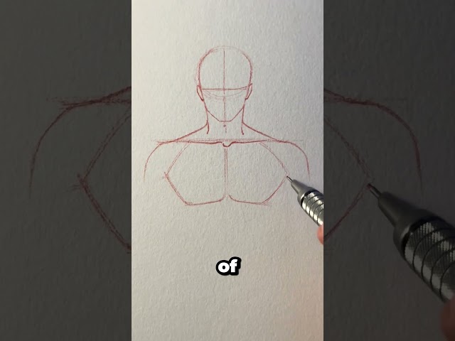 How to draw chest and shoulders || Jmarron