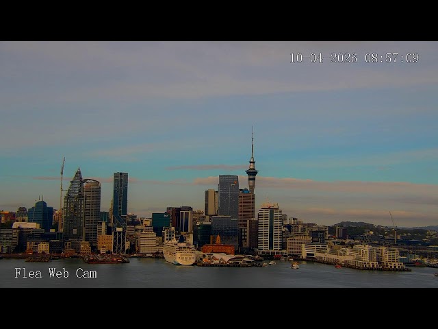 SurveillanceMap LIVE · Sky Tower and Auckland Harbour · New Zealand