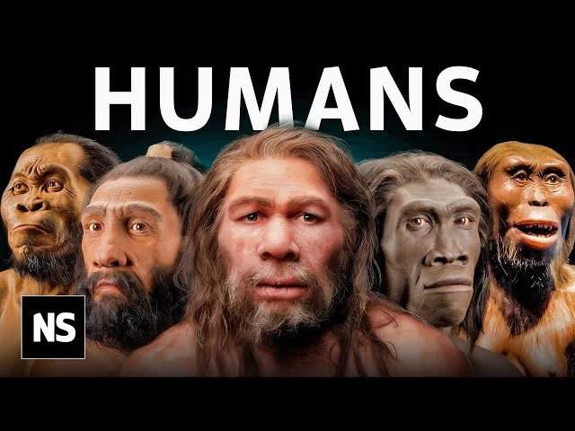Everything We Know About Our Human Origins