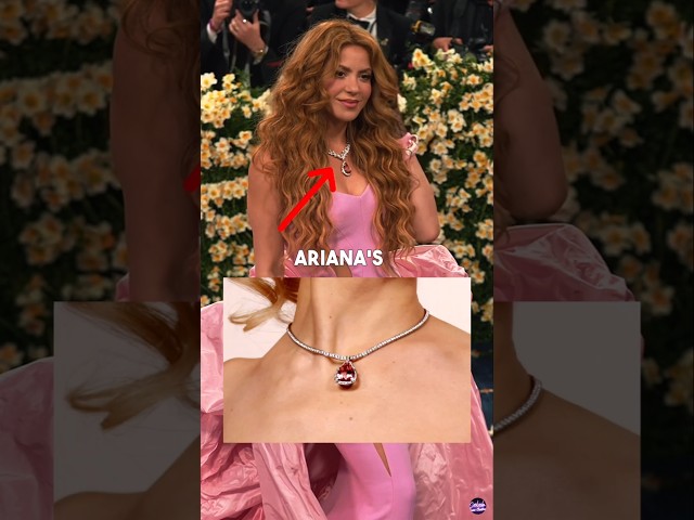 The Secret Details in Celebrities' Met Gala Looks!