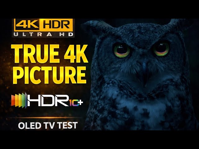 This 4K HDR Video Will Blow Your Mind (OLED Test)