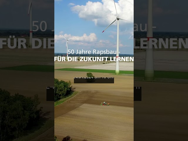 RAPS-PROFI-TALK: 50 Jahre Rapsanbau – Für die Zukunft lernen