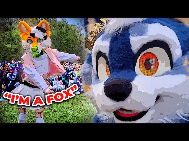 The Strange World Of Furries