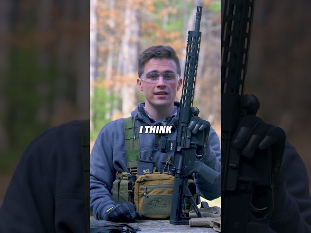 Palmetto State Armory AR15s