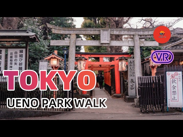 【180° VR】Inside Tokyo’s Culture Hub: Exploring Ueno Park’s Famous Shrines and Ponds 8K 3D