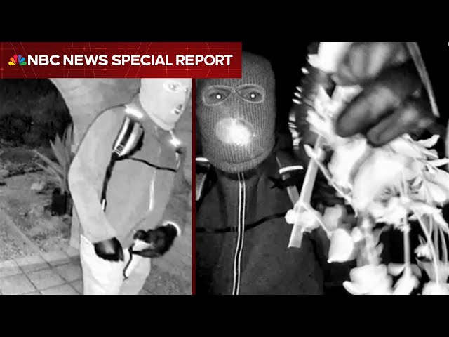 Special Report: Man detained for questioning in Nancy Guthrie disappearance