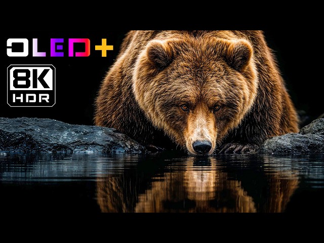 BEST OLED TEST - Spectacular World in 8K HDR | Dolby Vision™