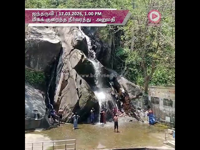 Kutralam Five Falls | 17.03.2026, 1.00 PM | குற்றாலம் ஐந்தருவி வீடியோ | Kutralam Season | Kutralam