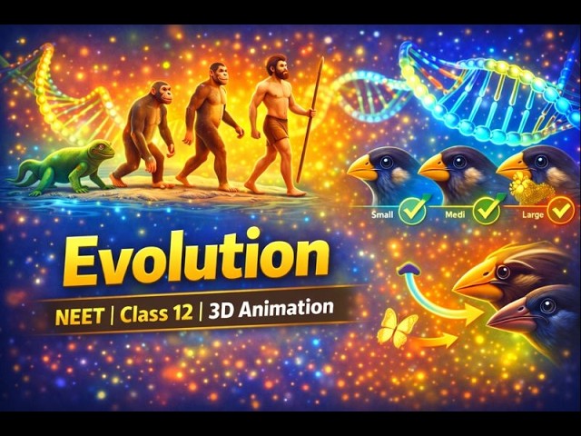 Evolution 🔥 | Class 12 Biology | NEET UG | 3D Animation