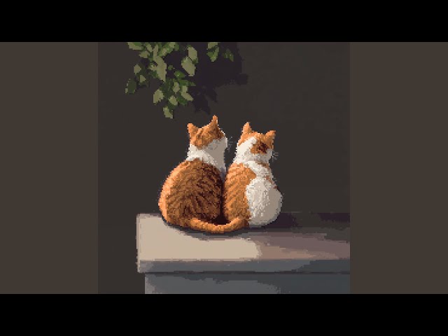 The Reason Why I Like You