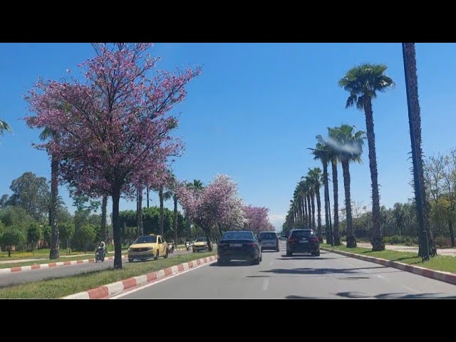 Marrakech | It's Spring in the Red City | Morocco 🇲🇦