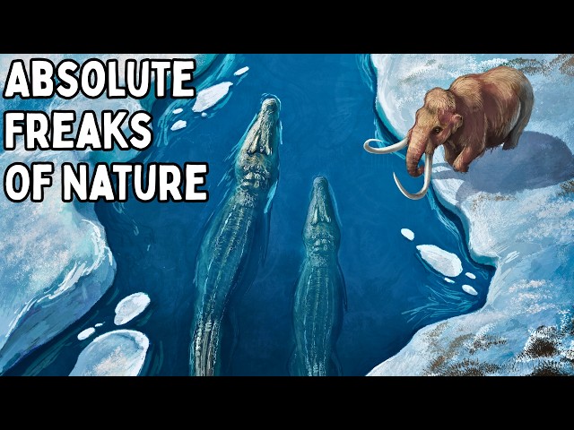 How Crocodiles Survived The Ice Age