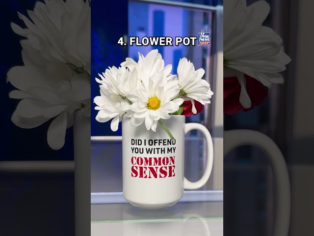 Not just for coffee anymore… Buy the Fox News @ Night Common Sense Mug on the Fox News Shop