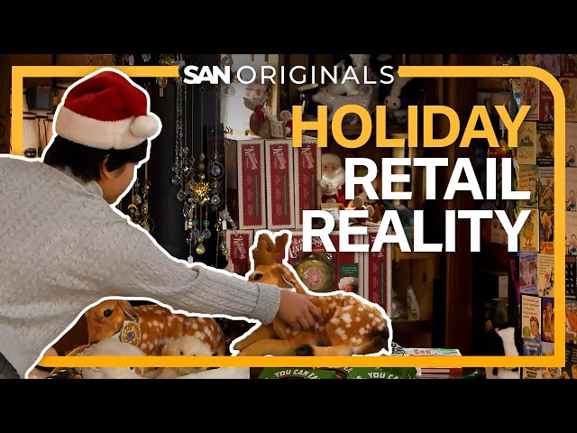 How holiday shopping sales predictions are masking the strain on family budgets