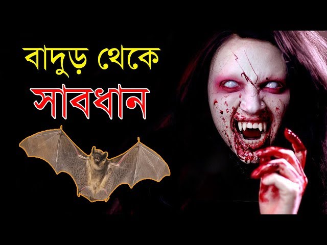 বাড়িতে বাদুড় ঢুকলে সাবধান হতে পারে আপনার মৃত্যু !