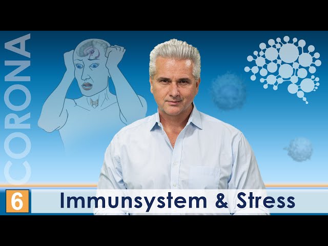 What does stress do to the immune system? Dr. Damir del Monte, Science & Practice