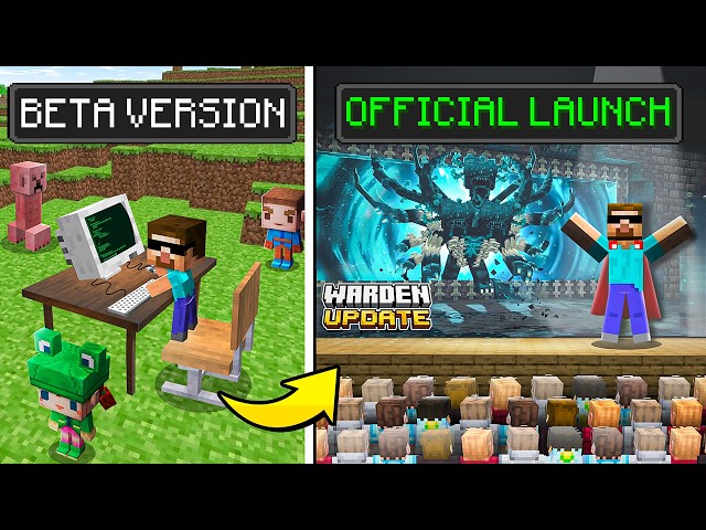 Birth to Death as a Minecraft Developer