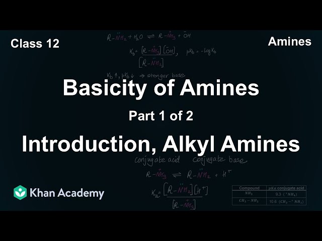 Basicity of Alkyl amines | Amines | Class 12 | Chemistry | NCERT | Khan Academy