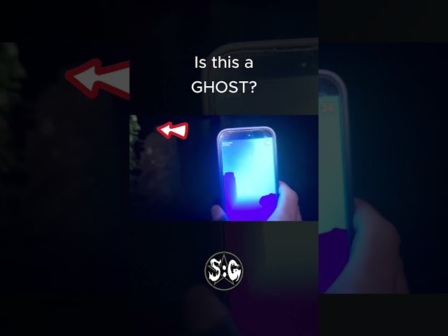 Is this a FACE OF A GHOST?