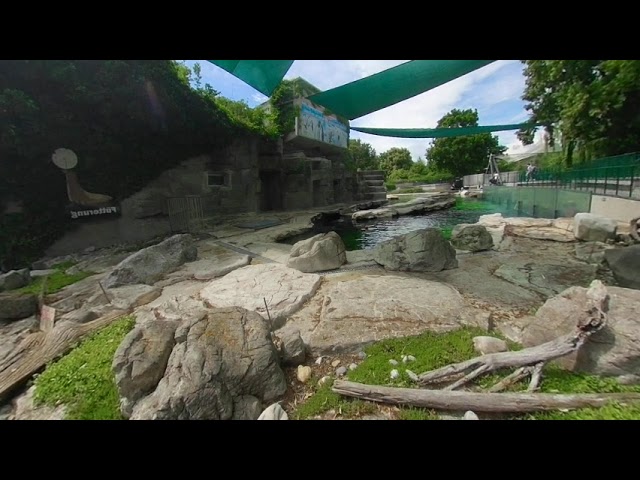 AVC Coding 3840x1920 00m06s 000005 injected