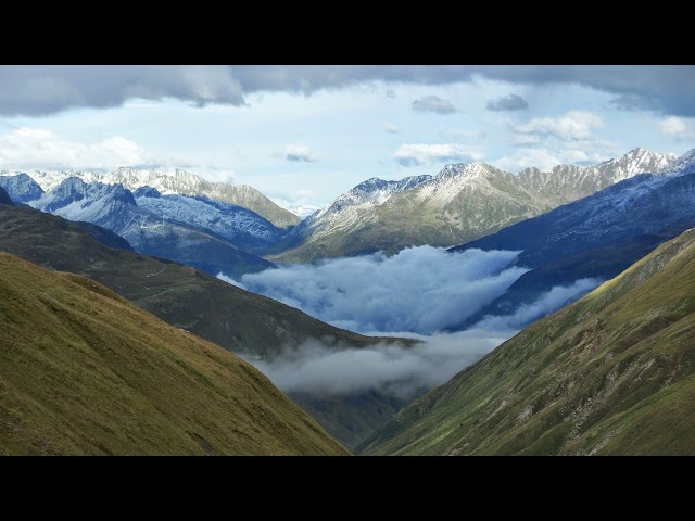 Strickly Financial Live Stream