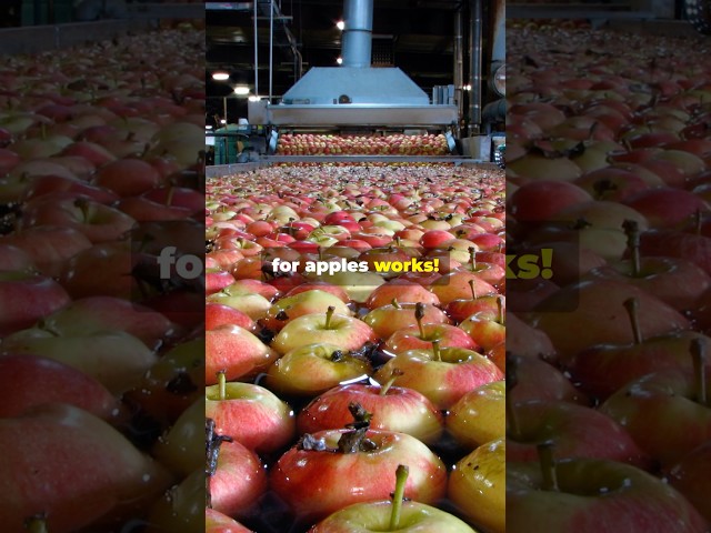 🍎 5 Fun Food Facts in 30 Seconds! | Fast & Fun