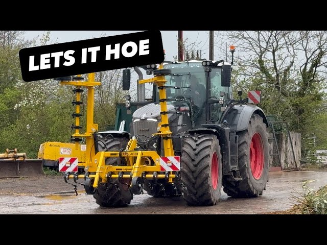  WE HAD THE HOE DOWN IN THE FEILD #AnswerAsAPercent 2211