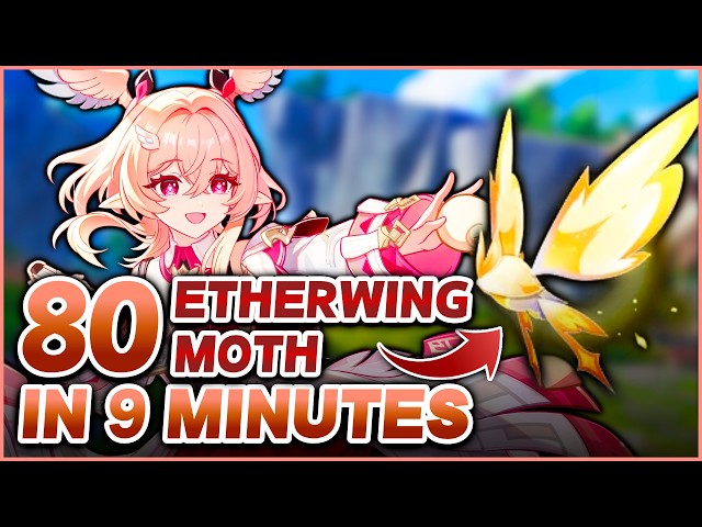 All Etherwing Moth Locations | Fast Farming Route | Genshin Impact