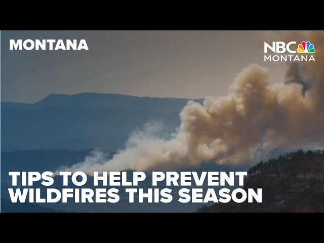 Tips to help prevent wildfires this season